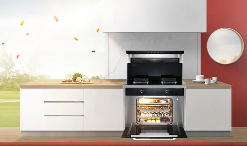 森歌集成灶61開門紅 第一又見第一,以及高速增長的背后