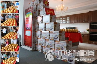 德西曼集成灶廠購(gòu)會(huì)圓滿舉辦 簽單率高達(dá)92