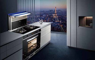 新房裝修季 智能化廚電走俏 集成灶10大品牌首選歐琳