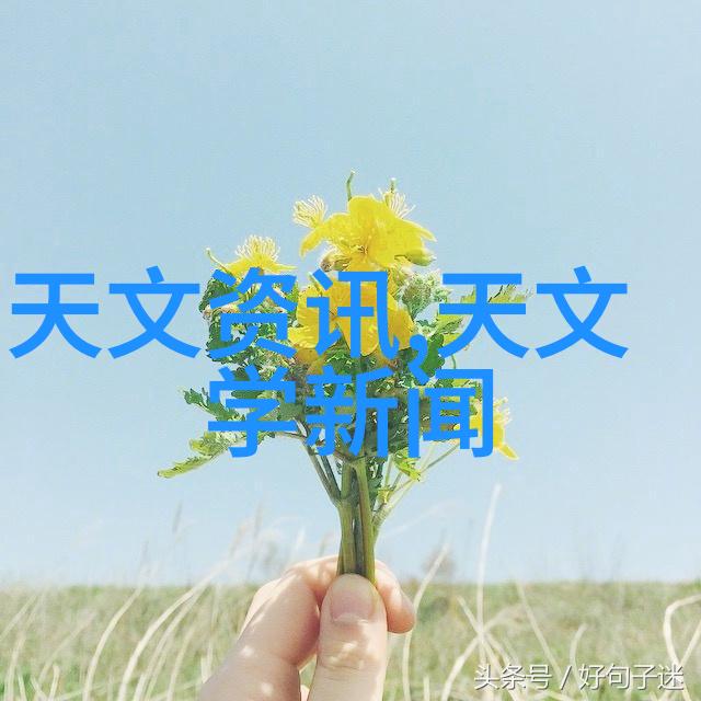 消毒无界真空食品杀菌设备的奇妙世界