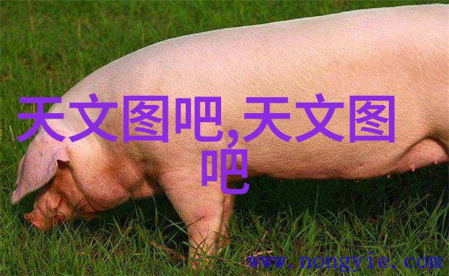 河南专业PE管材生产厂家河南省高品质聚乙烯管道制造商