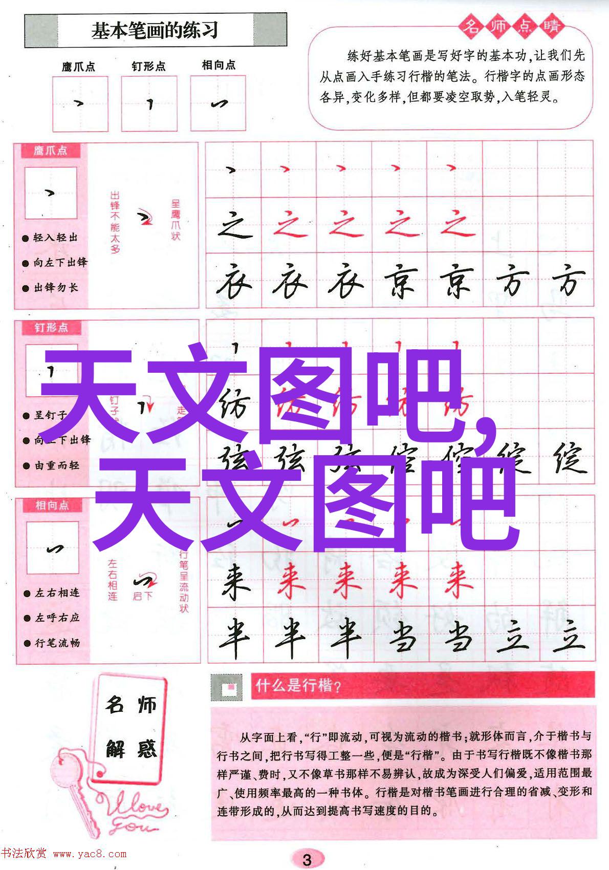 假小子拽翻天一场文化风潮的涌现与影响