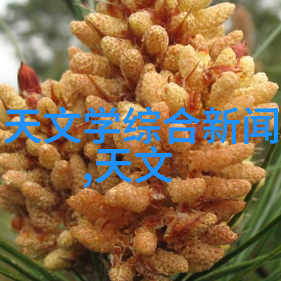塑料造粒机-精密复合推动环保材料革命的关键设备