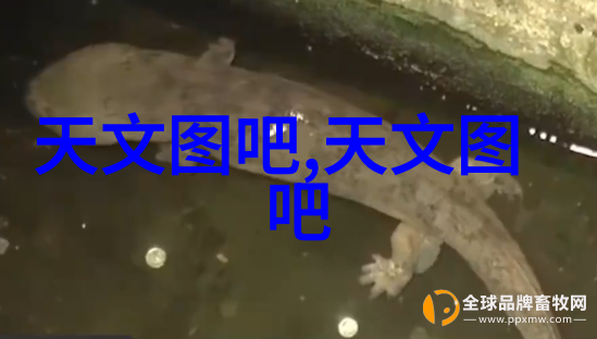 重庆工贸职业技术学院我的就业前沿基地