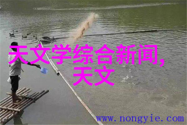 三体黑暗森林中的生存之战文明的灭绝与宇宙的无声对话