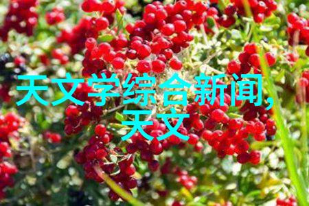 不锈钢制品压力容器法兰视镜市场价格最新信息也同样值得关注