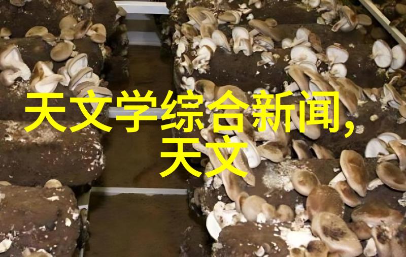 家居用品-不锈钢的魅力探索各种不锈钢制品的实用与美观