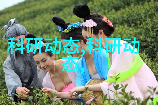 中国粮油机械设备网专业供应高效率的食品加工解决方案
