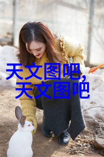 除尘骨架 - 重塑遗迹除尘骨架与历史的重生