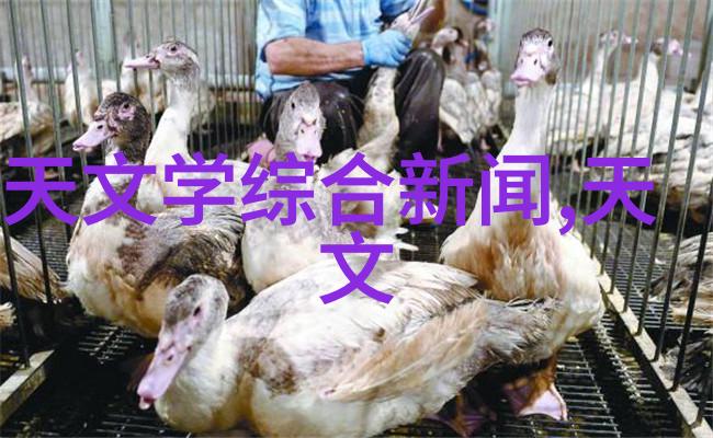 对比与和谐怎样通过不同风格的秋装新品搭配出独特造型
