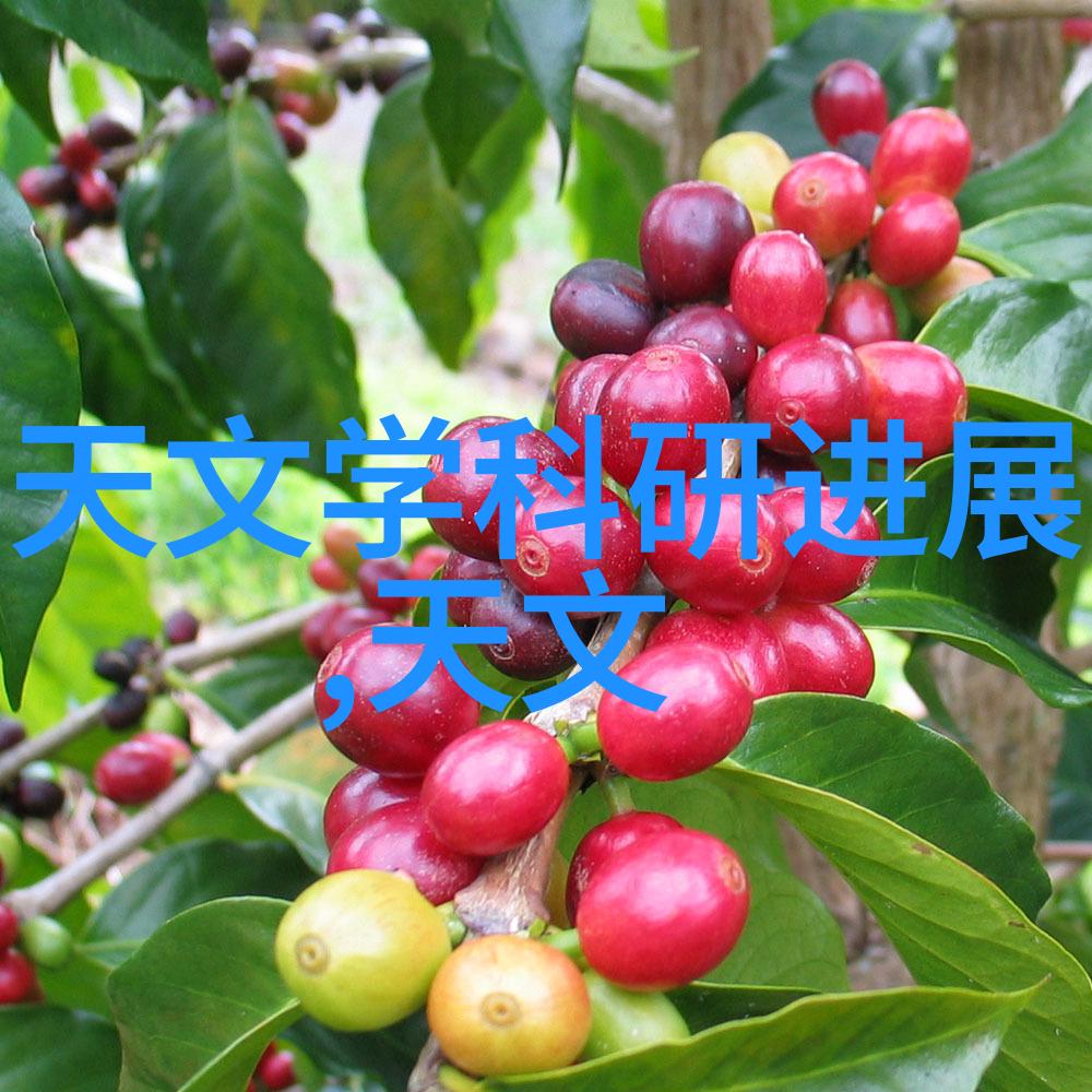 生物安全柜在处理高风险病原体时有什么特别要求吗