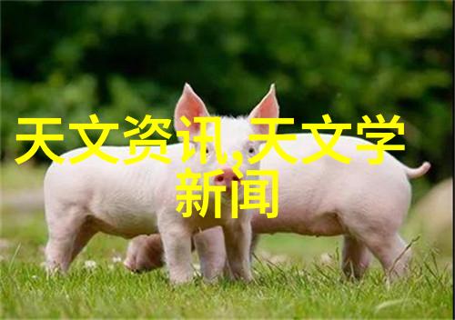 西南财经大学研究生院-深耕金融学科引领未来发展西南财经大学研究生院的卓越教育与创新实践