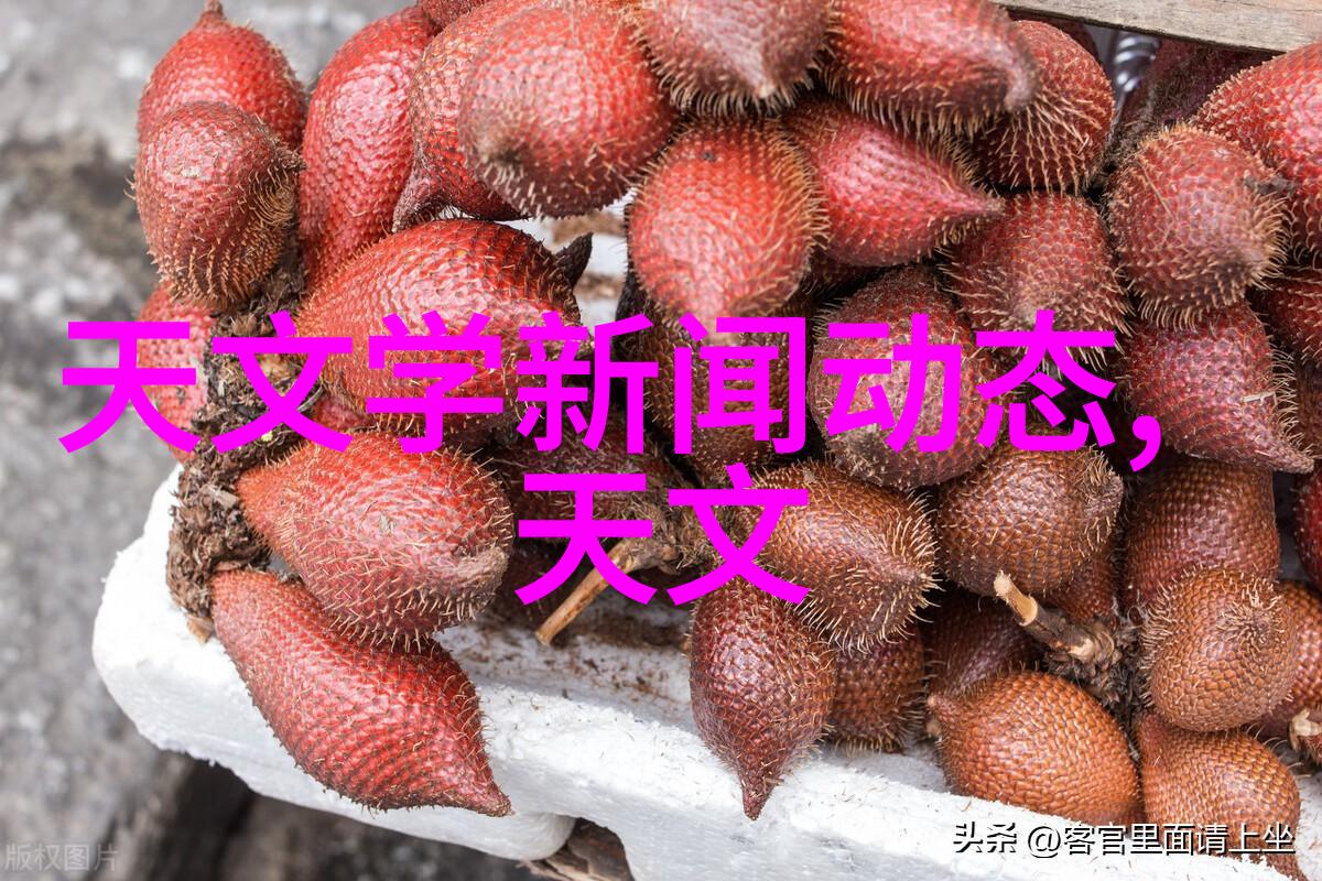 不锈钢丝网填料在化学工业中扮演什么角色