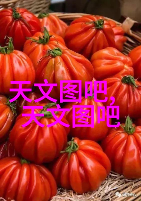 荣耀之冠与破碎的梦
