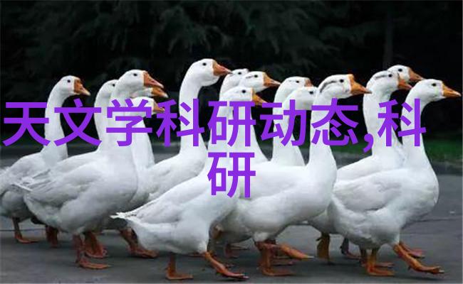 三纳米芯片量产时间表3nm芯片的商业化进展