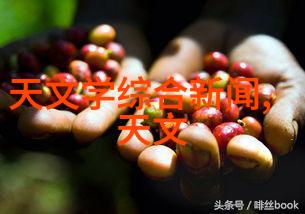 粘度计流体的亲吻者
