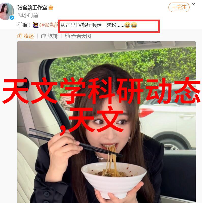 春意燃烧野火中的生长与毁灭