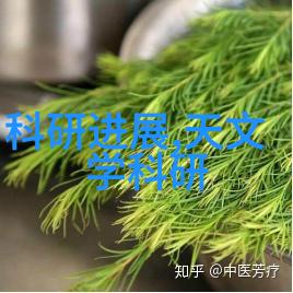 中药浓缩大师从草根到精华的奇幻旅程