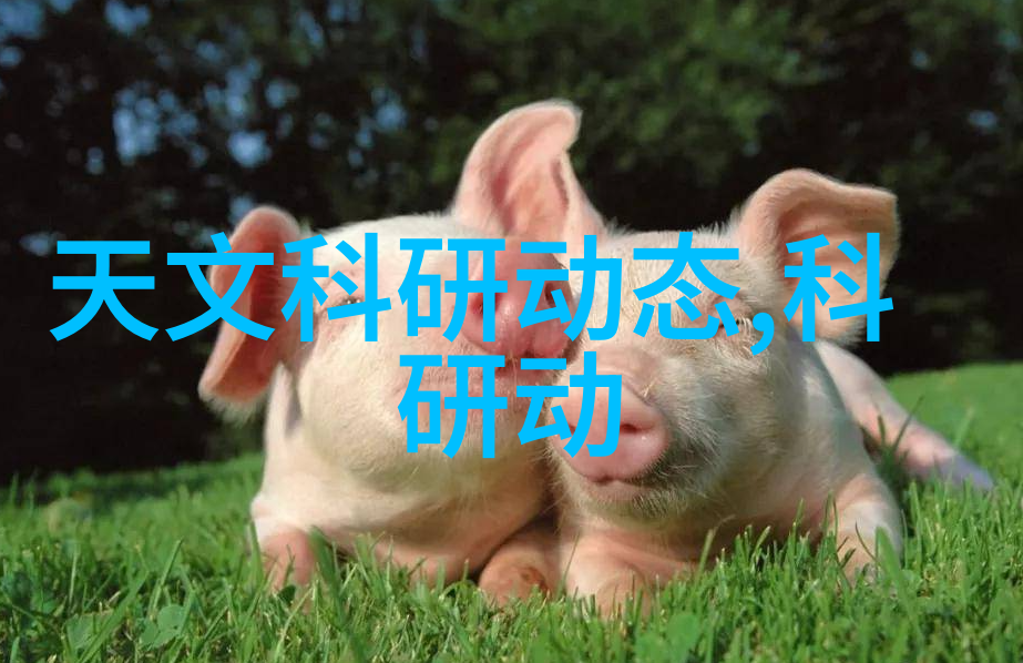 智能化程度如何影响现代工程机械如挖掷机会进行作业效率和安全性