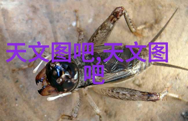 班长的疏忽一节课的无声耳语与捏视频的代价