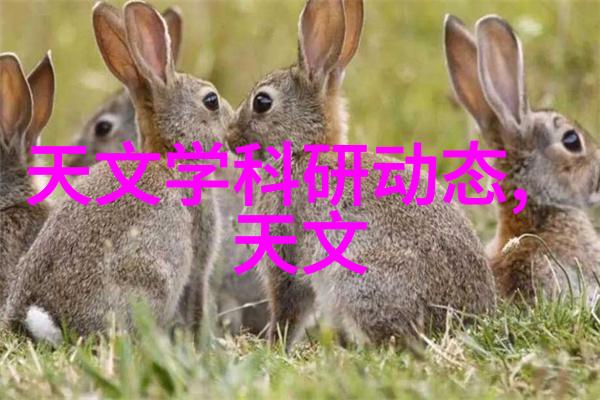 热交换器用途和选择合适的热交换管材类型