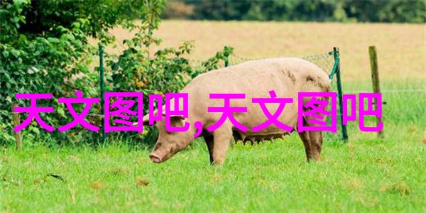 水质检测分析仪清新泉源的守护者
