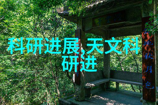 橡胶软管图片展现柔韧与实用性