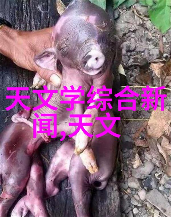 滴塑流水线设备我来教你如何搞定这道难关