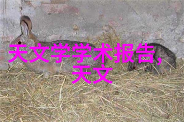 全自动饮用水净化系统家居生活的新标准