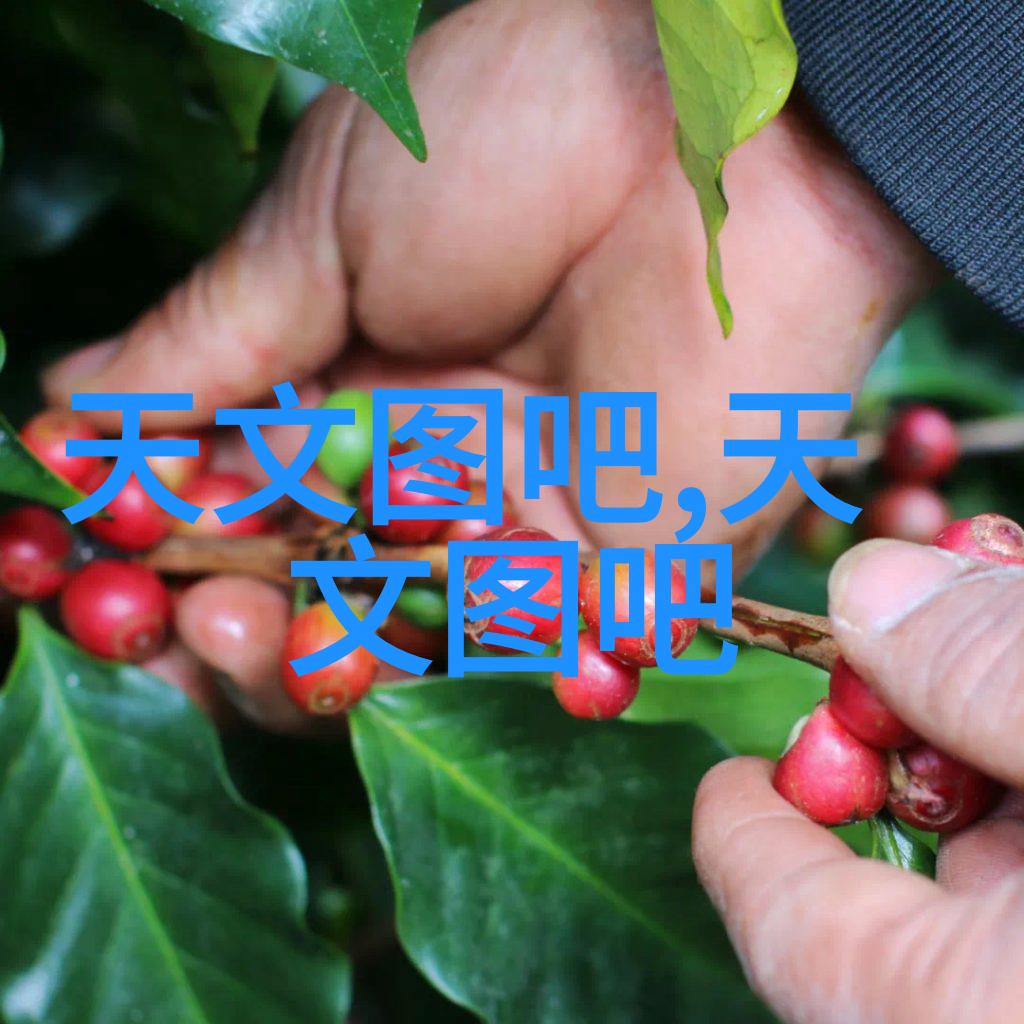 不锈钢创意产品的未来在哪里