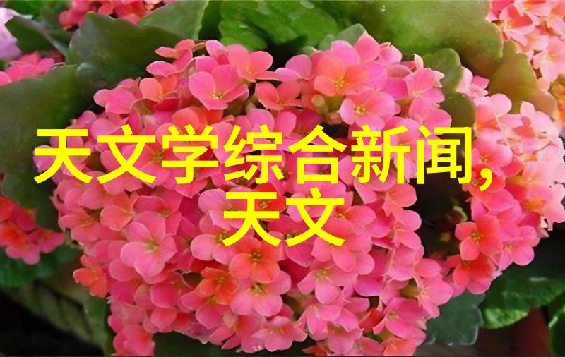 净化之旅揭秘废水处理的奇迹机器