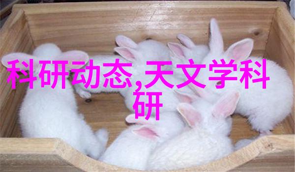 污水废水处理污水处理设备-清洁未来高效的污水处理技术与设备