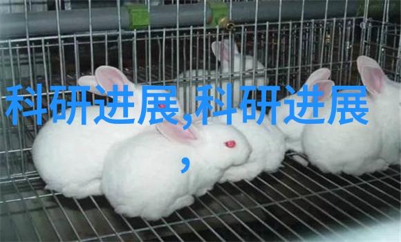 财经学府与现代管理江西财经大学的经济创新之旅