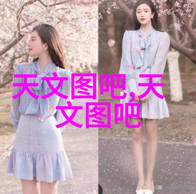 气液分离器内部结构精密过滤系统