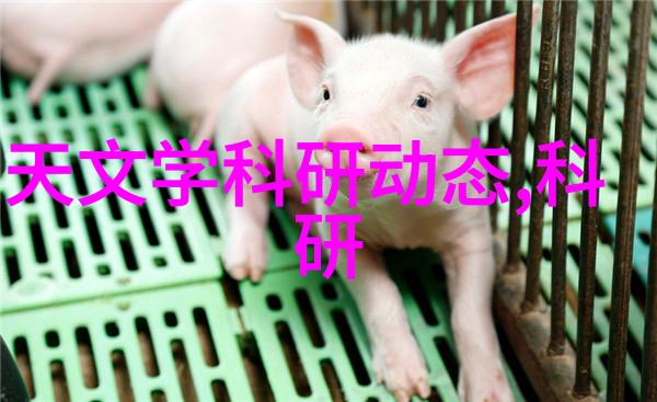 连续式干燥设备安装与维护指南