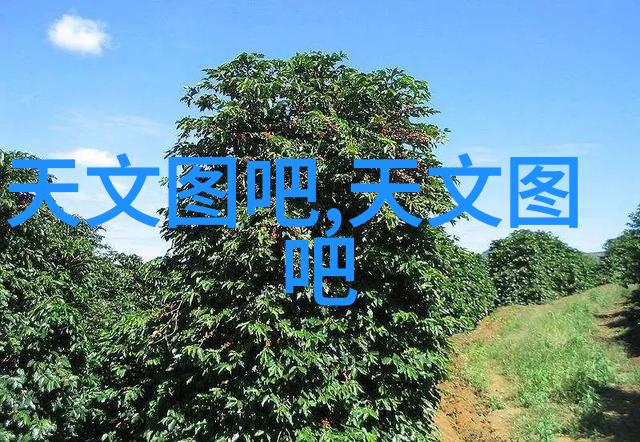 职业征程回首与展望