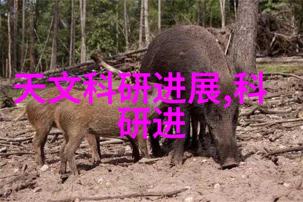 化学工程中的新材料开发开启绿色能源的新篇章