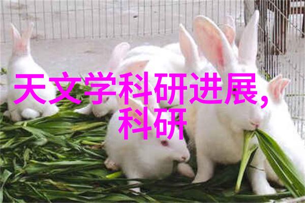 不锈钢板最新价格-市场动态与行业分析