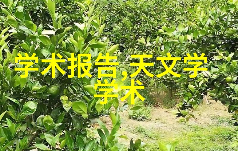车内外探秘了解电气电子及其他关键汽车部分的细节