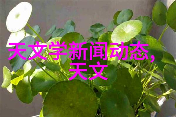 春秋大梦玉氏篇章中的历史与哲学探究