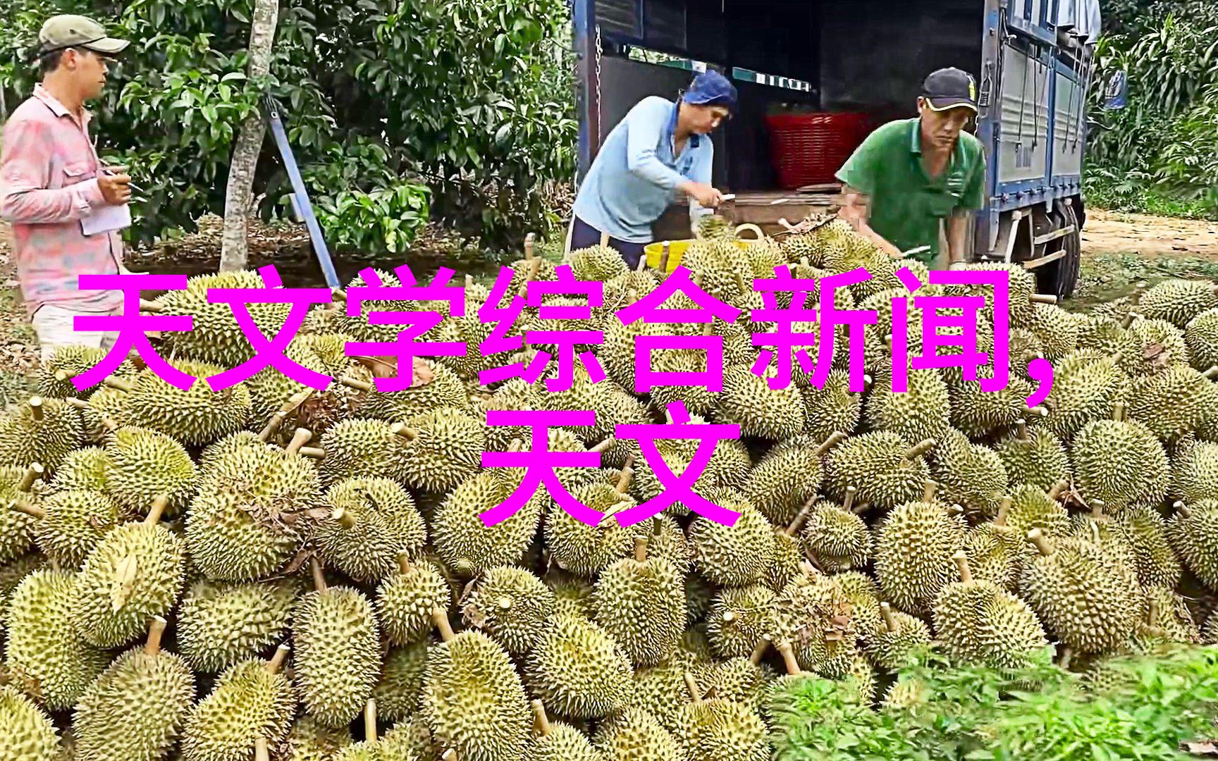 空调系统中的关键组件如何有效使用空气冷却器提高能效与舒适度