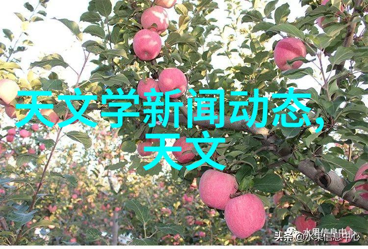 水处理技术-超越干扰高效的反渗透净水设备与生活品质提升