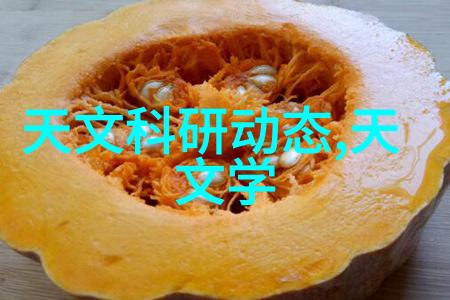 通道式自动喷淋消毒系统如何确保其运行效率