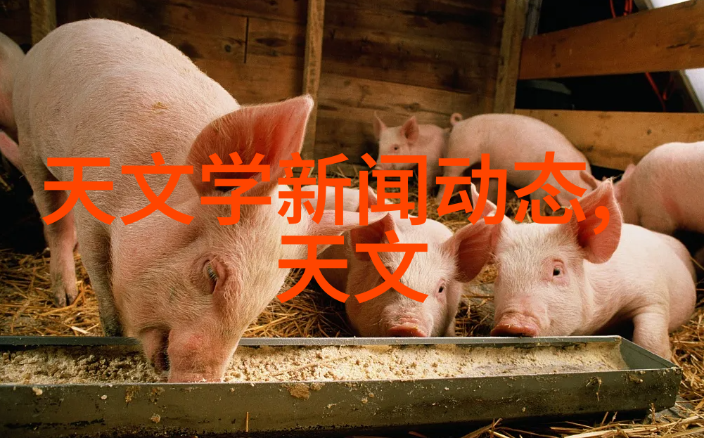 水质检测取样流程详解从现场观察到实验室分析的全过程