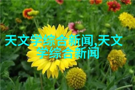 侯登科摄影作品《麦客》