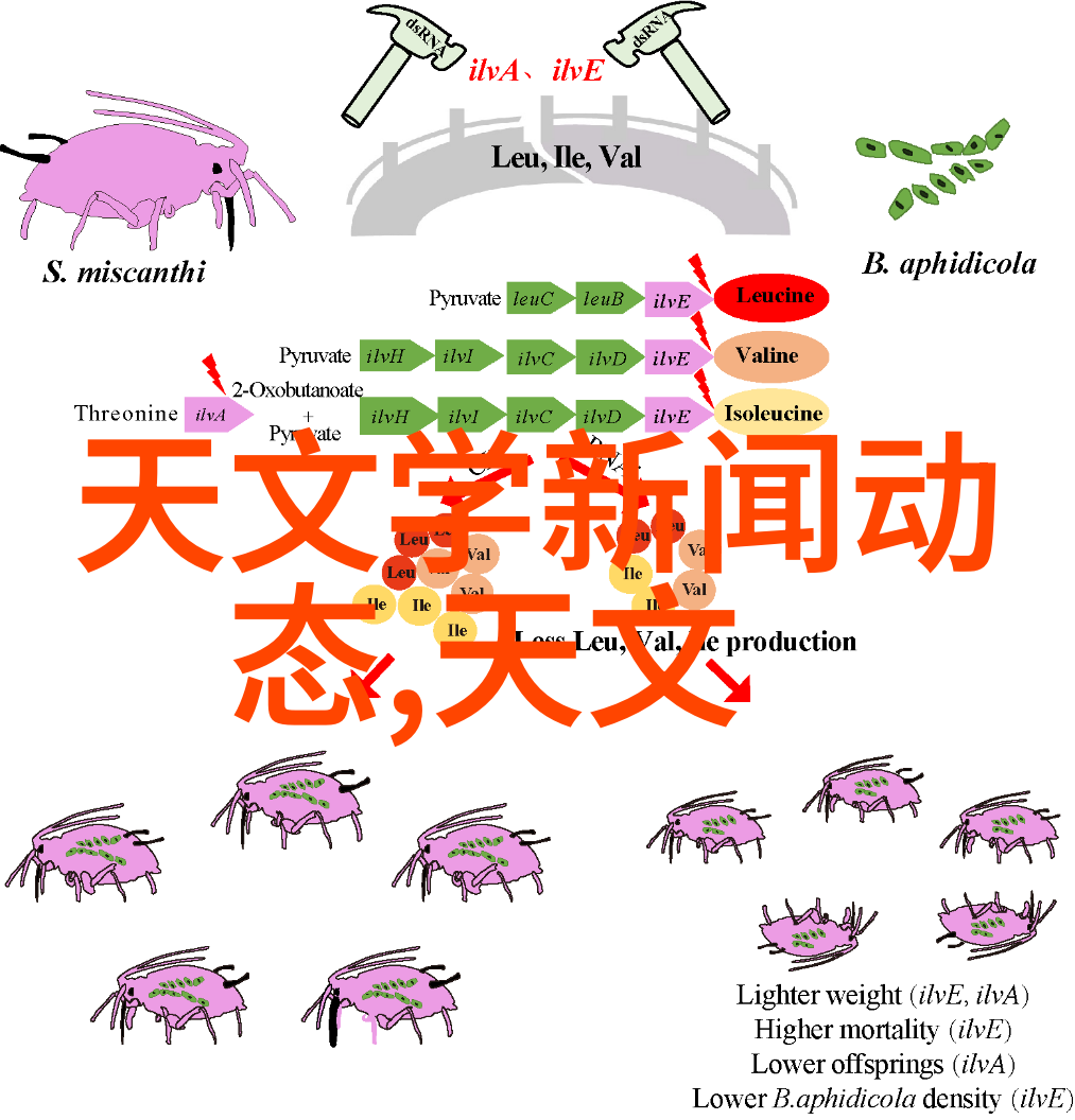在逆境中求存揭秘幸存者偏差的奥秘