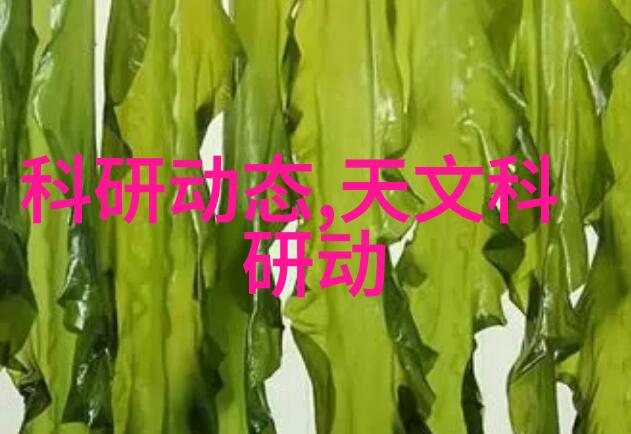 重庆财经职业学院金融梦想的起点