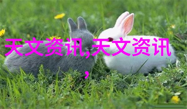 化工粉碎设备-高效稳定提升物料微细加工能力的关键技术
