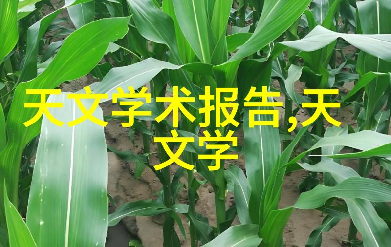 绿色厨房和谐家庭二手杀菌锅转卖启事