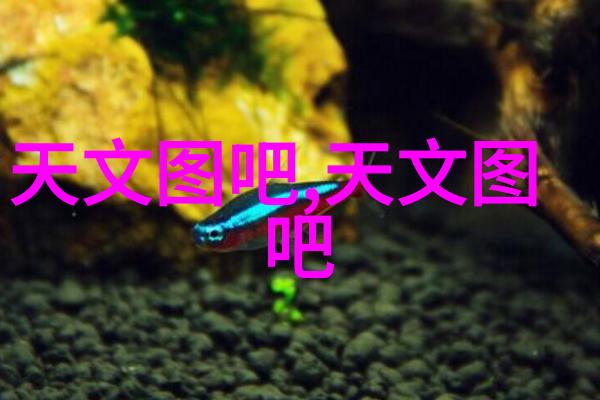 干燥设备 - 高效脱水新一代干燥设备的创新与应用